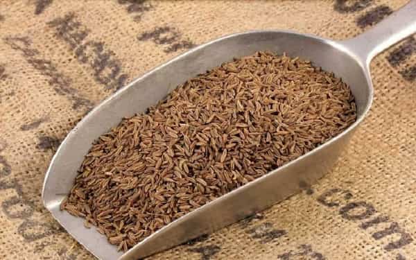 تصویر 3 از قیمت خرید زیره سیاه کوهی اصل + فروش ویژه